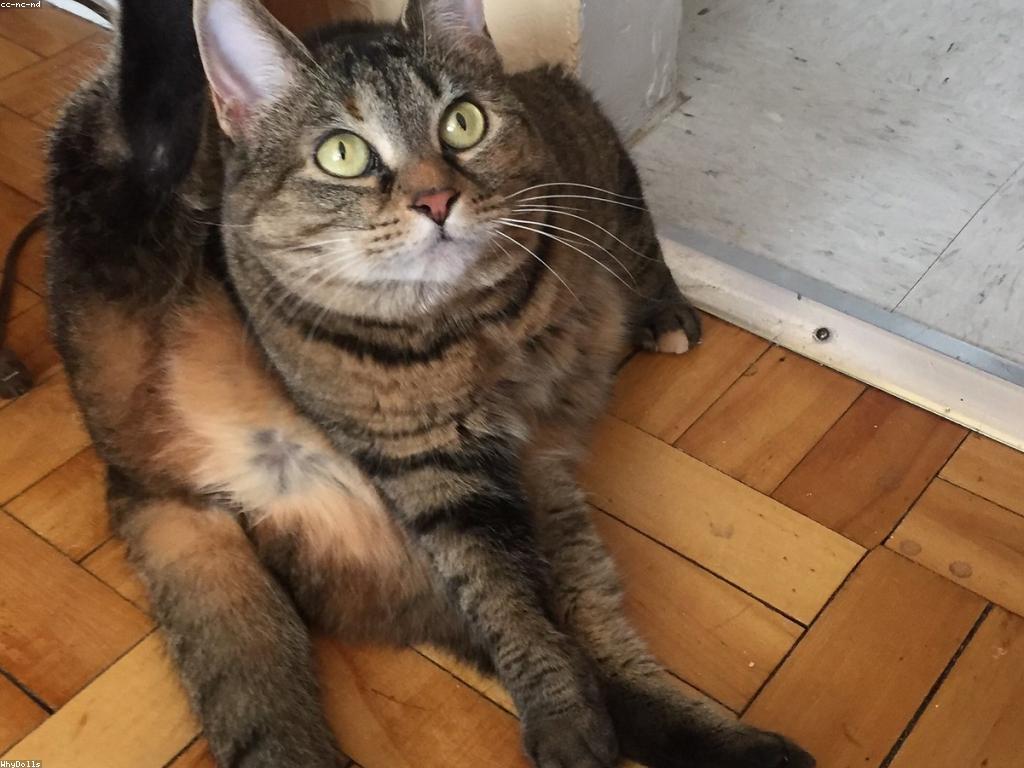 ព័ត៌មានថ្មីៗ: ការបន្ថែមនិងការវិភាគ