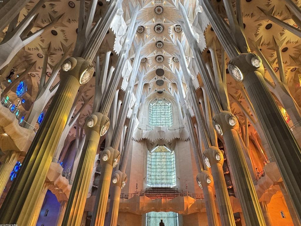 ការអនុវត្តប្រចាំថ្ងៃសម្រាប់សុខភាពផ្លូវចិត្ត