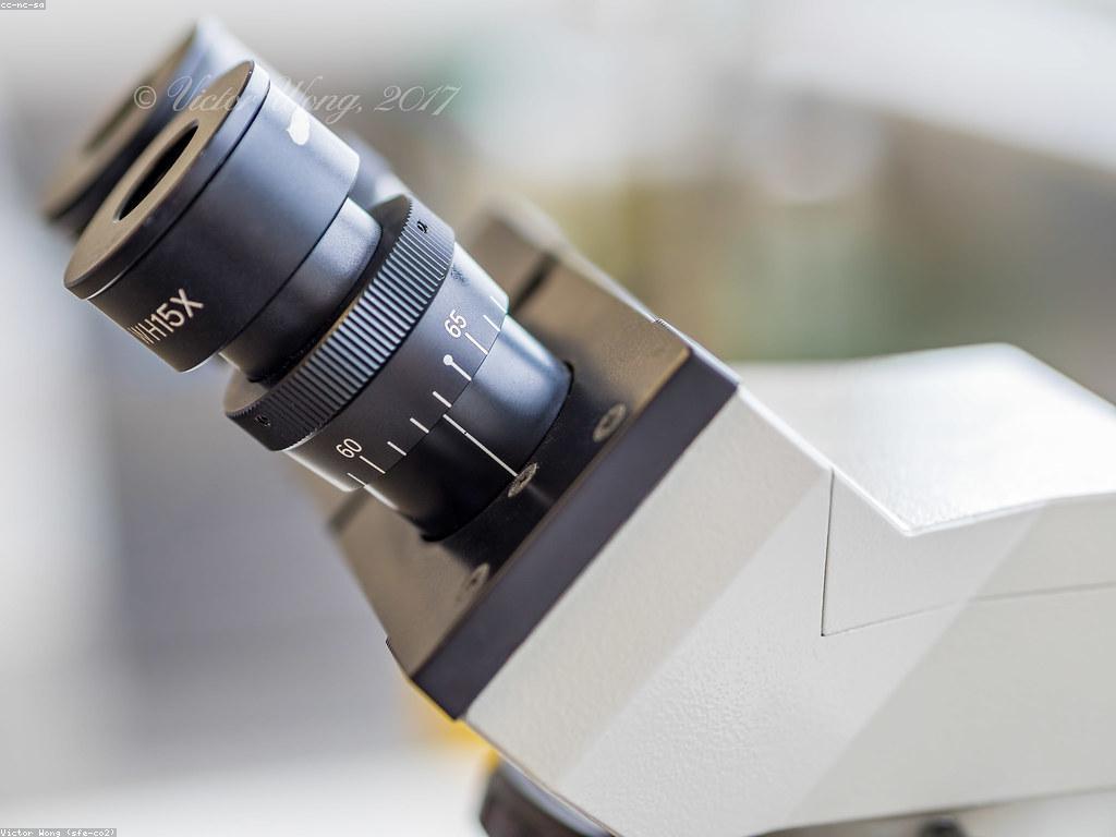 ស្នាដៃរៀនសូត្រ៖ ការធ្វើស្លតរាល់ថ្ងៃ