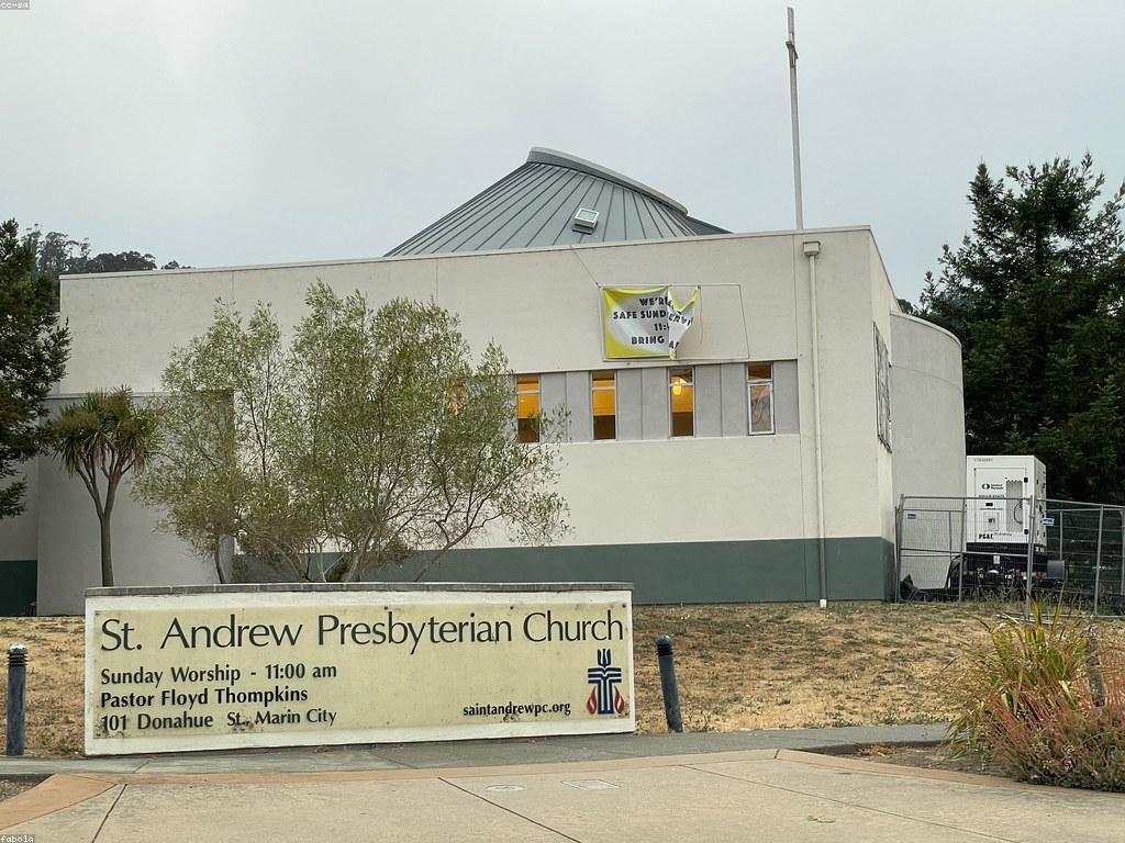 ស្លតរាល់ថ្ងៃ: ការអភិវឌ្ឍន៍និងកម្រិតនៃជីវិត