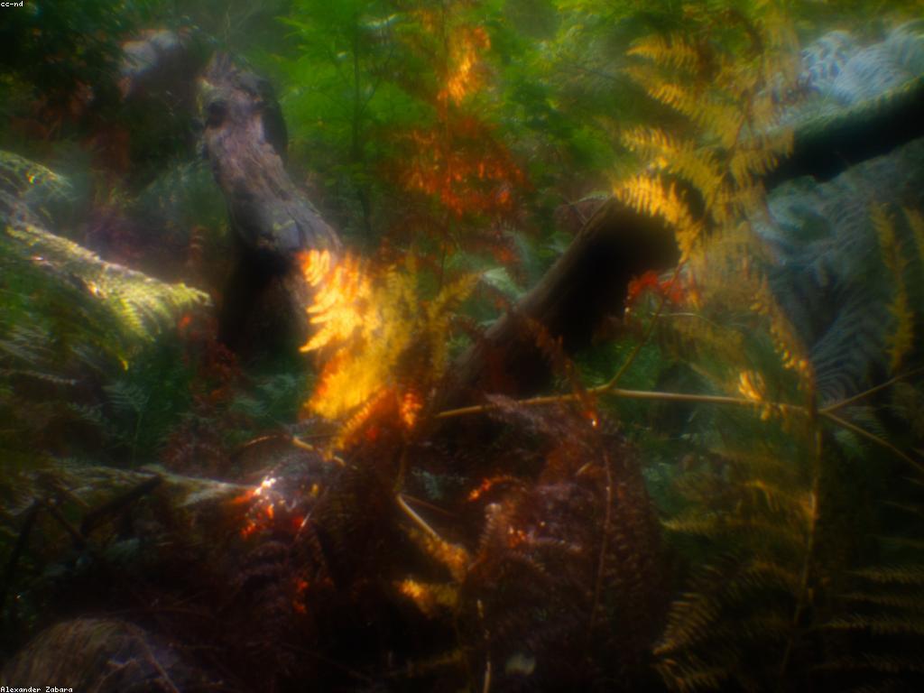 សារៈសំខាន់នៃព័ត៌មានថ្មីៗក្នុងសម័យឌីជីថល