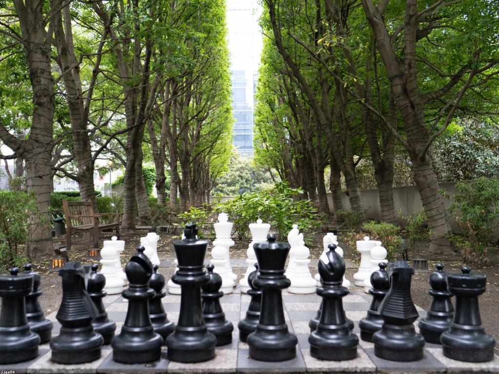 αα»αααααΆααααααααααΆααααΆααααααα